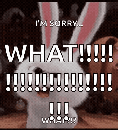A Picture Of A Bunny That Says I 'M Sorry What What GIF