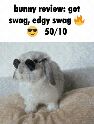 A Picture Of A Bunny Wearing Sunglasses With Bunny Reviews Got Swag Edgy Swag 50/10 GIF