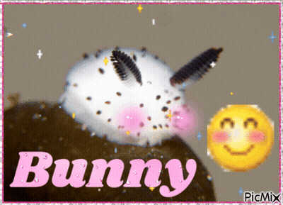 A Picture Of A Bunny With A Smiley Face GIF
