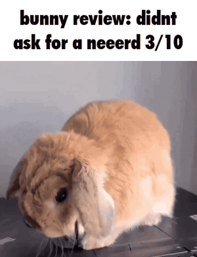 A Picture Of A Bunny With The Words Bunny Reviews Didnt Ask For A Neeerd 3/10 Below It GIF