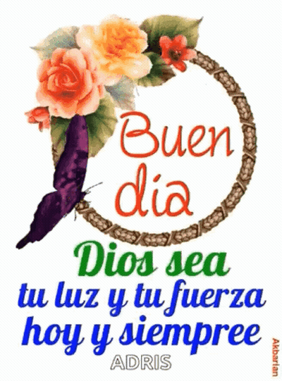 A Picture Of A Butterfly And Flowers With The Words " Buen Dia Dios Sea Tu Luz Y Tu Fuerza Hoy Y Siempre " GIF