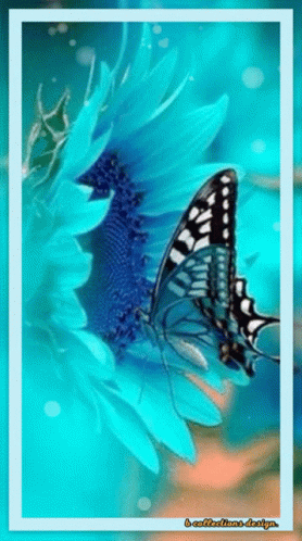 A Picture Of A Butterfly On A Blue Flower With A Watermark That Says L' Atelier Des Fleurs Design GIF