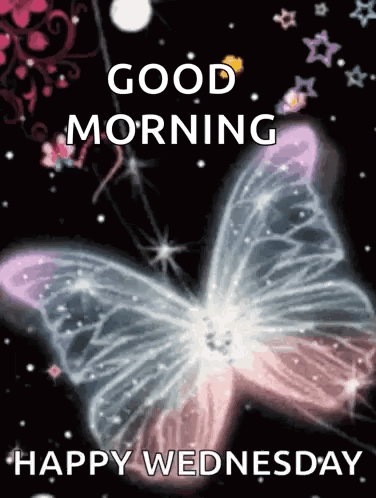 A Picture Of A Butterfly With The Words " Good Morning Happy Wednesday " GIF