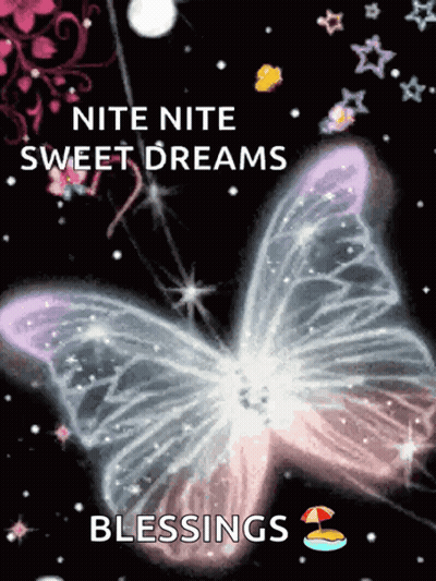 A Picture Of A Butterfly With The Words " Nite Nite Sweet Dreams Blessings " Below It GIF