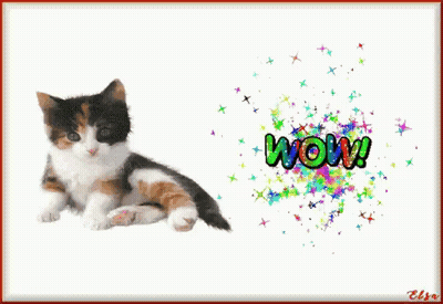 A Picture Of A Calico Kitten With The Word Wow On The Bottom GIF