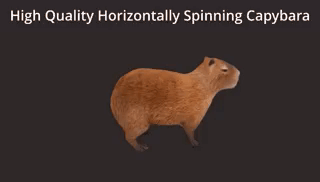 A Picture Of A Capybara With The Words High Quality Horizontally Spinning Capybara GIF
