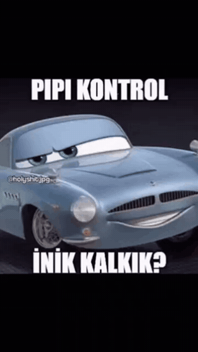 A Picture Of A Car With A Caption That Says ' Pipi Kontrol ' On It . GIF