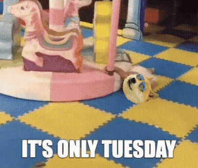 A Picture Of A Carousel With The Words It 'S Only Tuesday GIF