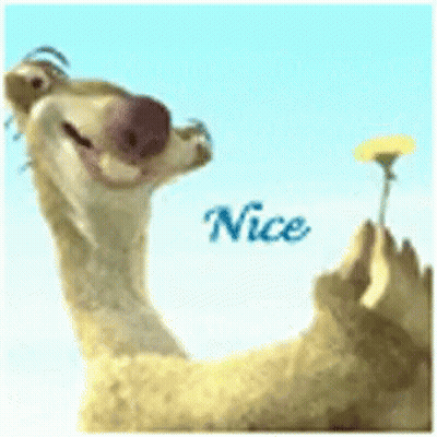 A Picture Of A Cartoon Character Holding A Flower With The Word Nice Written On It GIF