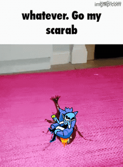 A Picture Of A Cartoon Character On A Pink Rug With The Caption Whatever Go My Scarab GIF