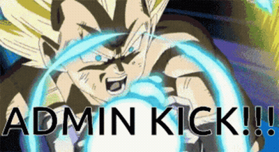 A Picture Of A Cartoon Character With The Words Admin Kick Written Below It GIF