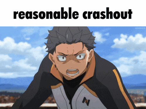 A Picture Of A Cartoon Character With The Words Reasonable Crashout Above Him GIF
