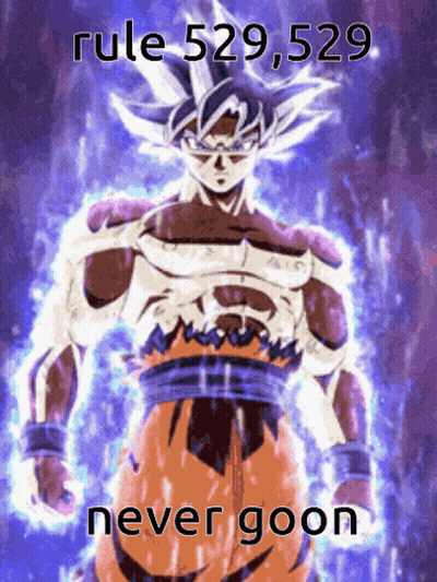 A Picture Of A Cartoon Character With The Words Rule 529,529 Never Goon Below Him GIF
