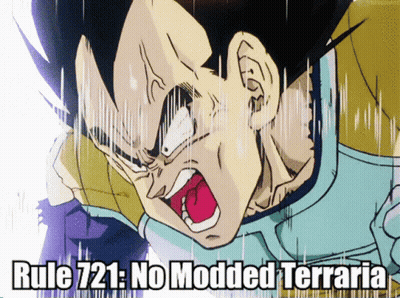 A Picture Of A Cartoon Character With The Words Rule 721 No Modded Terraria Below It GIF