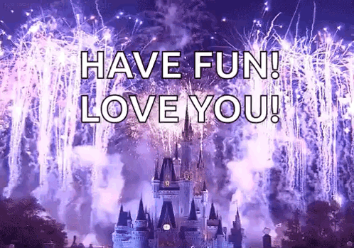 A Picture Of A Castle With Fireworks Behind It And The Words Have Fun Love You GIF