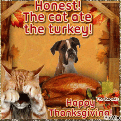 A Picture Of A Cat And A Dog That Says Happy Thanksgiving GIF