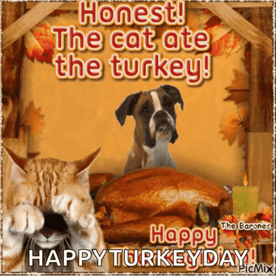 A Picture Of A Cat And A Dog With The Words " Honest The Cat Ate The Turkey " GIF