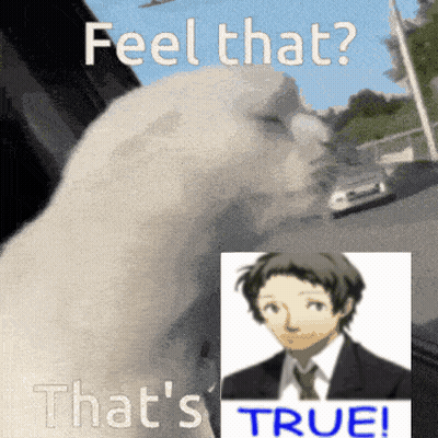 A Picture Of A Cat And A Picture Of A Man With The Words " Feel That " And " That 'S True " GIF