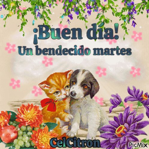 A Picture Of A Cat And A Puppy With The Words " Buen Dia " GIF