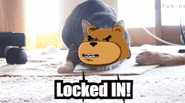A Picture Of A Cat And A Teddy Bear With The Words " Locked In " Below It GIF