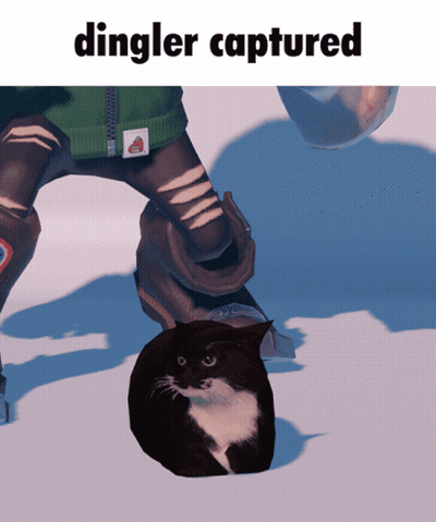A Picture Of A Cat And The Words Dingler Captured GIF