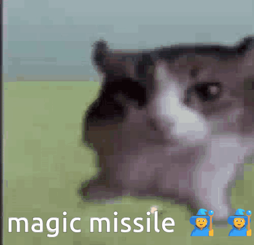 A Picture Of A Cat And The Words Magic Missile GIF