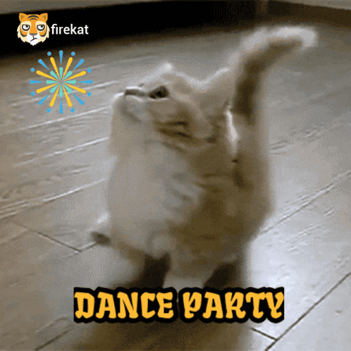 A Picture Of A Cat Dancing With The Words Dance Party On The Bottom GIF