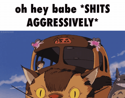 A Picture Of A Cat Driving A Bus With The Words Oh Hey Babe Shits Aggressively GIF