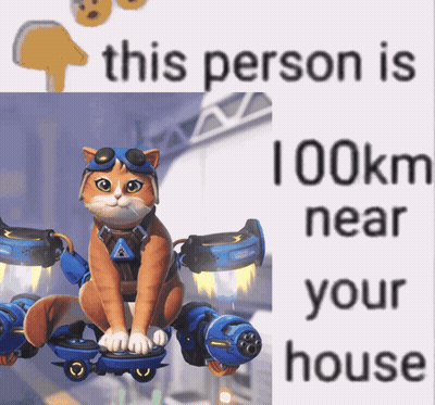 A Picture Of A Cat Flying With The Words " This Person Is 100Km Near Your House " Below It GIF