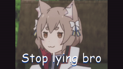 A Picture Of A Cat Girl With The Words " Stop Lying Bro " Below Her GIF