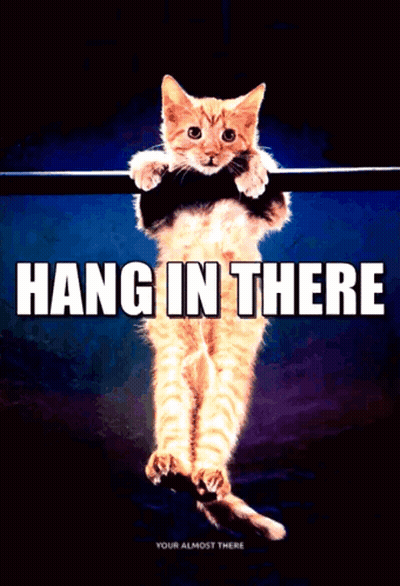 A Picture Of A Cat Hanging On A Bar With The Words Hang In There Below It GIF