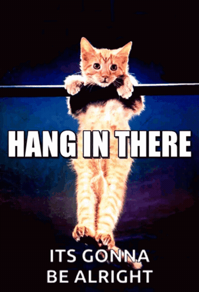 A Picture Of A Cat Hanging On A Bar With The Words Hang In There It 'S Gonna Be Alright GIF