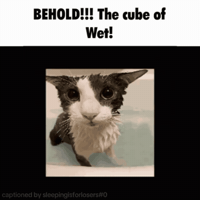 A Picture Of A Cat In A Bathtub With The Caption " Behold The Cube Of Wet " GIF