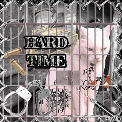 A Picture Of A Cat In A Cage With The Words Hard Time Written Above It GIF