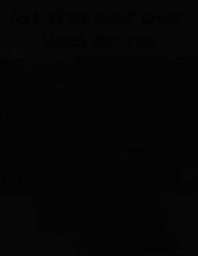 A Picture Of A Cat In A Glass Of Water With The Words Let The Cat Out Yes Or No Below It GIF