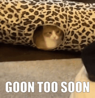 A Picture Of A Cat In A Leopard Print Tunnel With The Caption Goon Too Soon GIF