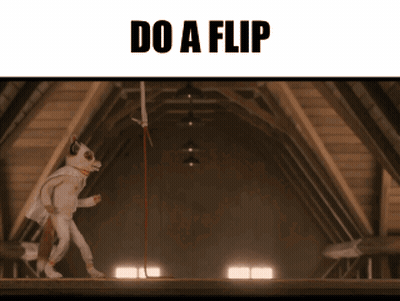 A Picture Of A Cat In An Attic With The Words Do A Flip GIF