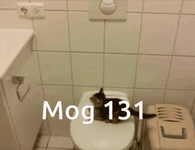 A Picture Of A Cat Jumping Into A Toilet With The Words Mog 131 On The Bottom GIF