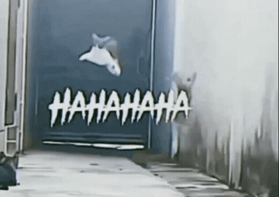 A Picture Of A Cat Jumping Out Of A Door With The Words " Hahahaha " Written In White GIF