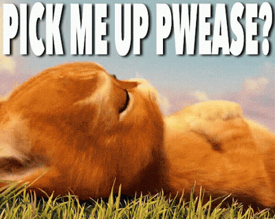 A Picture Of A Cat Laying In The Grass With The Words Pick Me Up Pwease Below It GIF