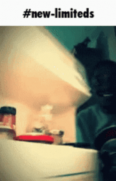 A Picture Of A Cat Looking Into A Refrigerator With The Words #New-Limiteds Below It GIF