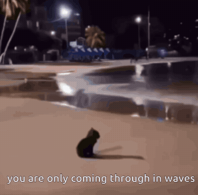 A Picture Of A Cat On A Beach With The Words You Are Only Coming Through In Waves GIF