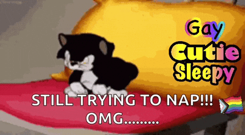 A Picture Of A Cat On A Pillow That Says Gay Cutie Sleepy Still Trying To Nap Omg GIF