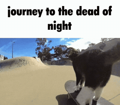 A Picture Of A Cat On A Skateboard With The Words Journey To The Dead Of Night Below It GIF
