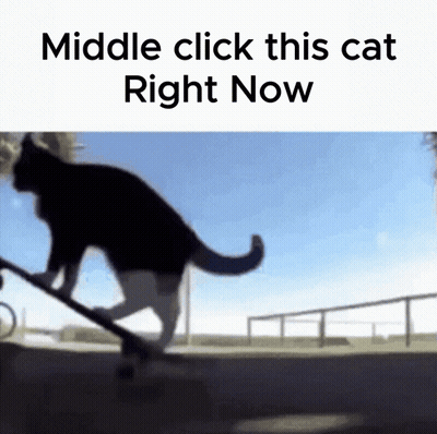 A Picture Of A Cat On A Skateboard With The Words Middle Click This Cat Right Now GIF
