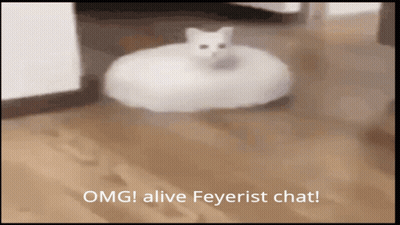 A Picture Of A Cat On A Vacuum Cleaner That Says " Omg Alive Feyreist Chat " GIF