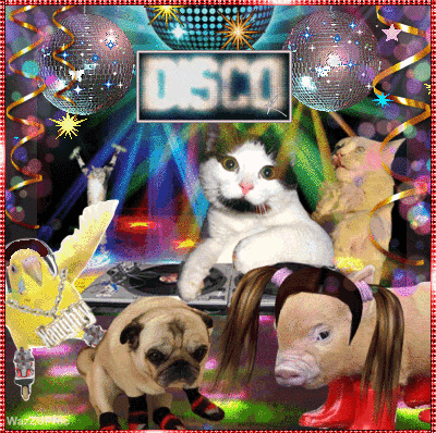 A Picture Of A Cat Playing A Dj Set With Disco Balls In The Background GIF