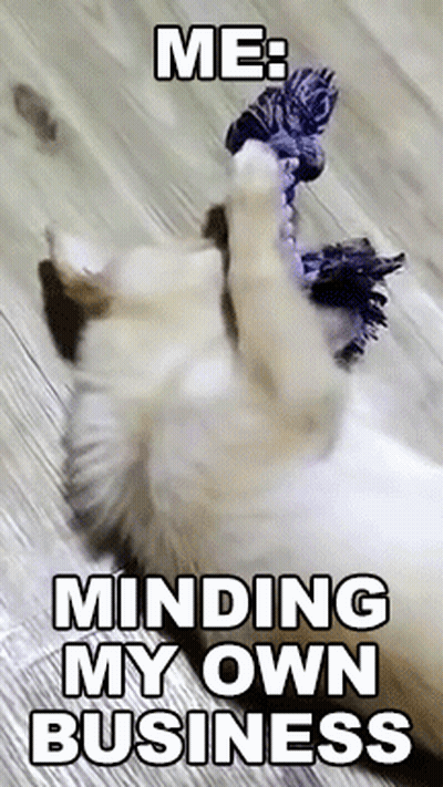 A Picture Of A Cat Playing With A Rope With The Caption " Me Minding My Own Business " GIF
