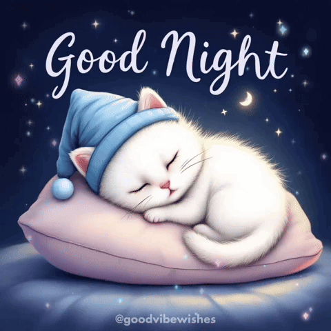 A Picture Of A Cat Sleeping On A Pillow With The Words Good Night Written Above It GIF