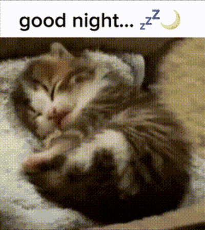 A Picture Of A Cat Sleeping With The Words Good Night Zzz GIF
